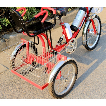 26 Inch 36V Electro-Tricycle